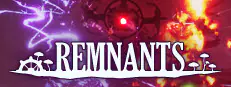Remnants