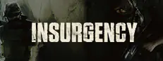 Insurgency