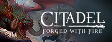 Citadel: Forged with Fire
